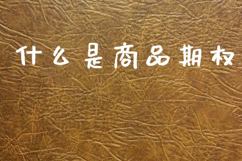 什么是商品期权_https://wap.78312.cn_债券资讯_第1张