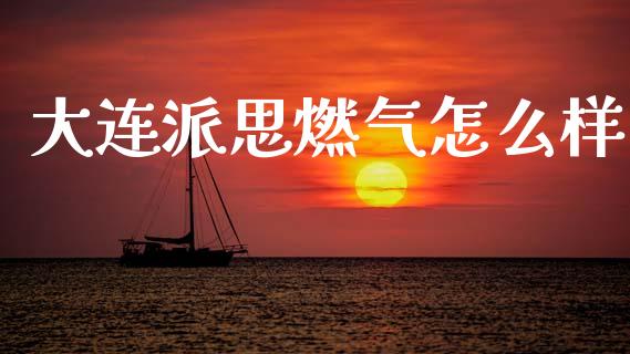 大连派思燃气怎么样_https://wap.78312.cn_债券资讯_第1张