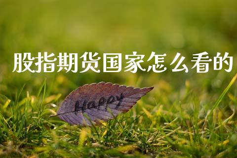 股指期货国家怎么看的_https://wap.78312.cn_金融监管_第1张