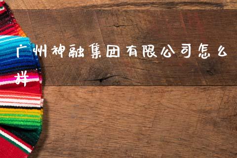 广州神融集团有限公司怎么样_https://wap.78312.cn_金融监管_第1张