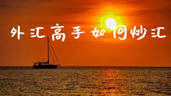 外汇高手如何炒汇_https://wap.78312.cn_财经新闻_第1张