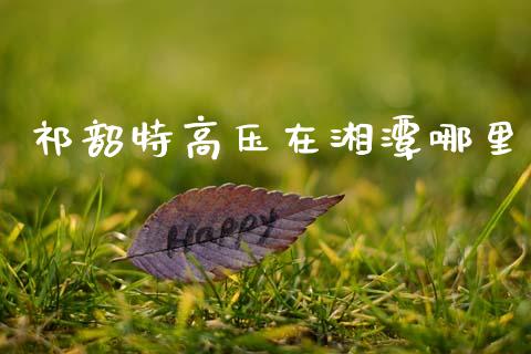 祁韶特高压在湘潭哪里_https://wap.78312.cn_外汇交易_第1张
