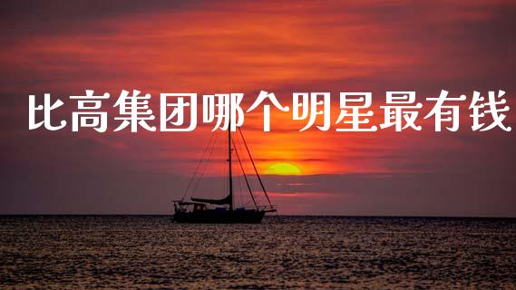 比高集团哪个明星最有钱_https://wap.78312.cn_金融监管_第1张
