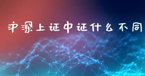 沪深上证中证什么不同_https://wap.78312.cn_外汇交易_第1张