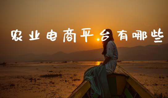 农业电商平台有哪些_https://wap.78312.cn_财经新闻_第1张