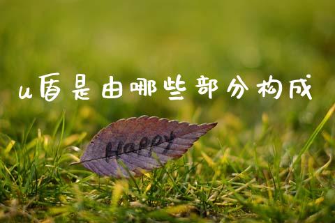 u盾是由哪些部分构成_https://wap.78312.cn_期货开户_第1张