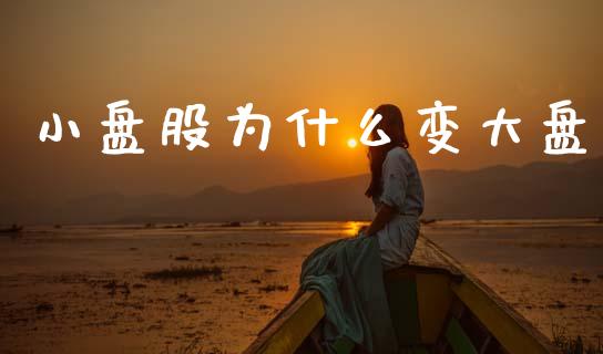 小盘股为什么变大盘_https://wap.78312.cn_期货开户_第1张