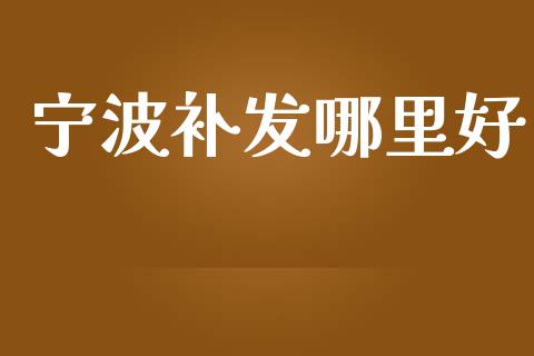 宁波补发哪里好_https://wap.78312.cn_债券资讯_第1张