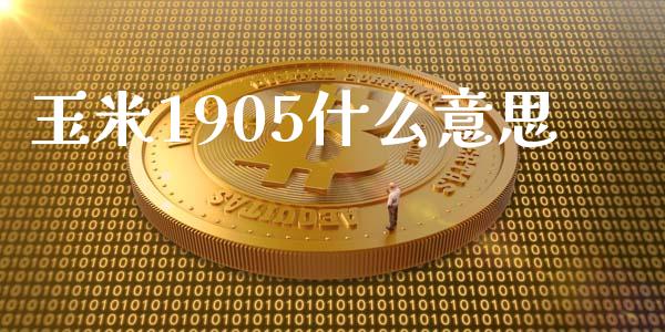 玉米1905什么意思_https://wap.78312.cn_期货开户_第1张