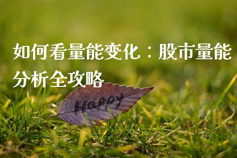 如何看量能变化：股市量能分析全攻略_https://wap.78312.cn_财经新闻_第1张