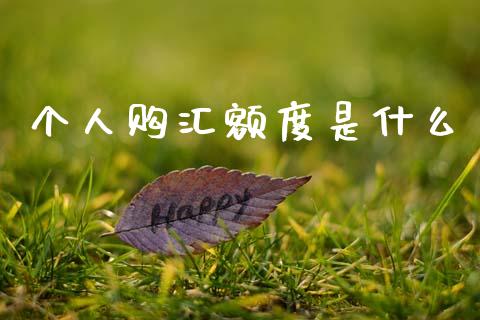 个人购汇额度是什么_https://wap.78312.cn_金融监管_第1张