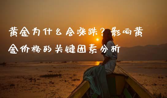 黄金为什么会涨跌？影响黄金价格的关键因素分析_https://wap.78312.cn_期货开户_第1张
