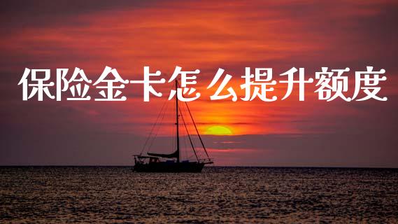 保险金卡怎么提升额度_https://wap.78312.cn_外汇交易_第1张