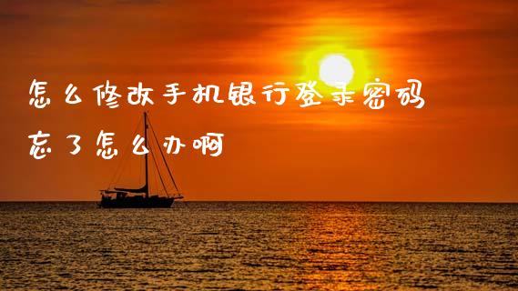 怎么修改手机银行登录密码忘了怎么办啊_https://wap.78312.cn_全球市场_第1张