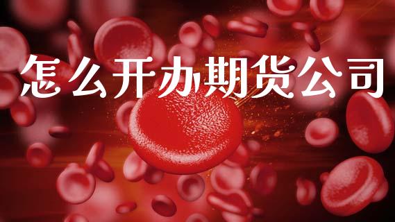 怎么开办期货公司_https://wap.78312.cn_外汇交易_第1张