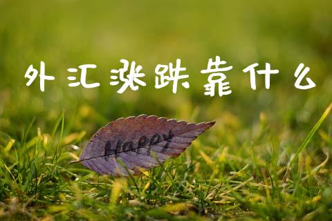 外汇涨跌靠什么_https://wap.78312.cn_期货开户_第1张