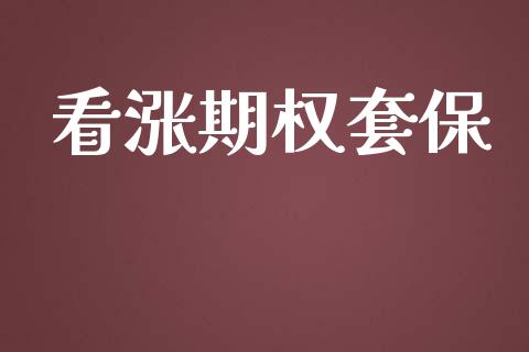 看涨期权套保_https://wap.78312.cn_期货开户_第1张