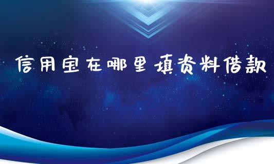 信用宝在哪里填资料借款_https://wap.78312.cn_金融监管_第1张