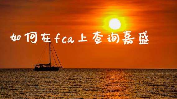 如何在fca上查询嘉盛_https://wap.78312.cn_全球市场_第1张