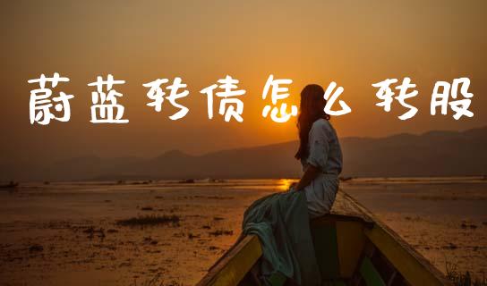 蔚蓝转债怎么转股_https://wap.78312.cn_期货开户_第1张