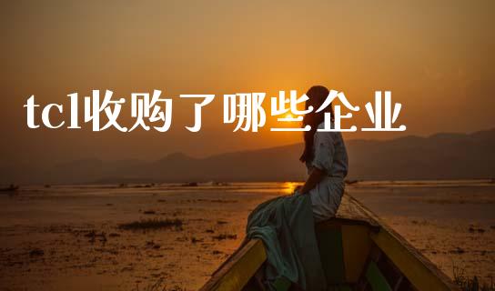 tcl收购了哪些企业_https://wap.78312.cn_全球市场_第1张