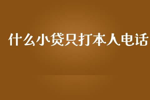 什么小贷只打本人电话_https://wap.78312.cn_债券资讯_第1张