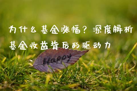 为什么基金涨幅？深度解析基金收益背后的驱动力_https://wap.78312.cn_期货开户_第1张