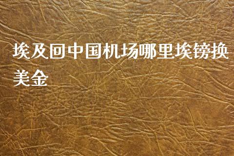 埃及回中国机场哪里埃镑换美金_https://wap.78312.cn_期货开户_第1张
