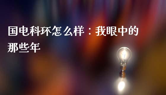 国电科环怎么样：我眼中的那些年_https://wap.78312.cn_金融监管_第1张