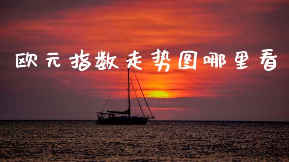 欧元指数走势图哪里看_https://wap.78312.cn_外汇交易_第1张