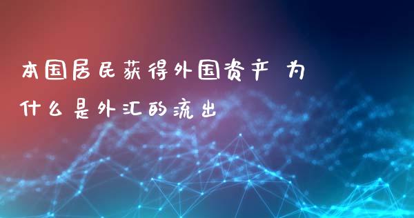 本国居民获得外国资产 为什么是外汇的流出_https://wap.78312.cn_财经新闻_第1张