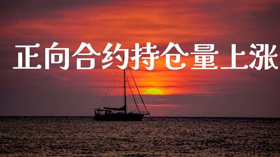 正向合约持仓量上涨_https://wap.78312.cn_财经新闻_第1张