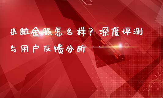 米粒金服怎么样？深度评测与用户反馈分析_https://wap.78312.cn_期货开户_第1张