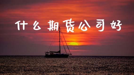 什么期货公司好_https://wap.78312.cn_债券资讯_第1张