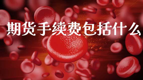期货手续费包括什么_https://wap.78312.cn_财经新闻_第1张