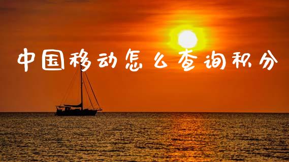 中国移动怎么查询积分_https://wap.78312.cn_财经新闻_第1张