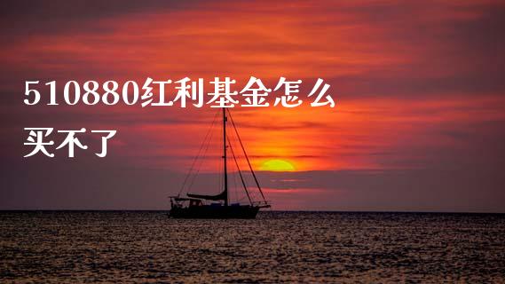 510880红利基金怎么买不了_https://wap.78312.cn_期货开户_第1张