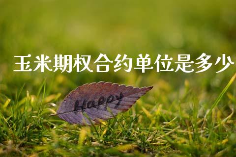 玉米期权合约单位是多少_https://wap.78312.cn_金融监管_第1张