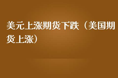美元上涨期货下跌（美国期货上涨）_https://wap.78312.cn_债券资讯_第1张