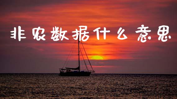 非农数据什么意思_https://wap.78312.cn_金融监管_第1张