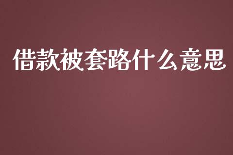 借款被套路什么意思_https://wap.78312.cn_债券资讯_第1张