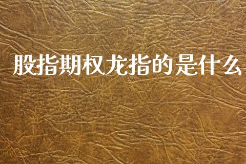 股指期权龙指的是什么_https://wap.78312.cn_期货开户_第1张