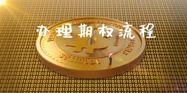 办理期权流程_https://wap.78312.cn_债券资讯_第1张