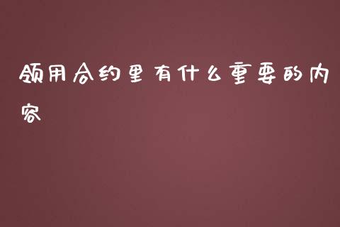 领用合约里有什么重要的内容_https://wap.78312.cn_金融监管_第1张