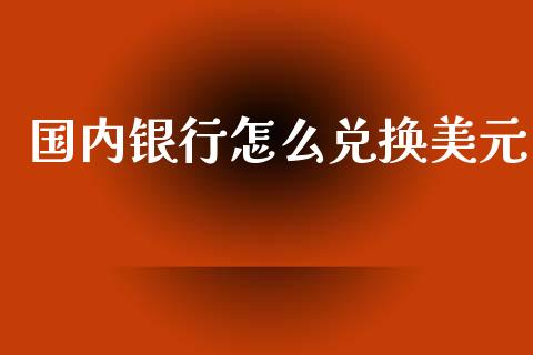 国内银行怎么兑换美元_https://wap.78312.cn_外汇交易_第1张