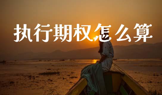 执行期权怎么算_https://wap.78312.cn_债券资讯_第1张