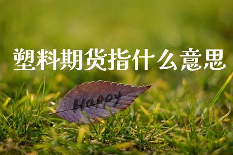 塑料期货指什么意思_https://wap.78312.cn_金融监管_第1张