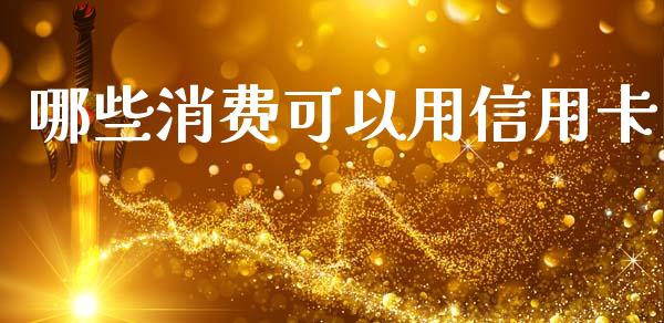 哪些消费可以用信用卡_https://wap.78312.cn_期货开户_第1张