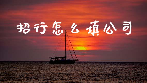招行怎么填公司_https://wap.78312.cn_外汇交易_第1张