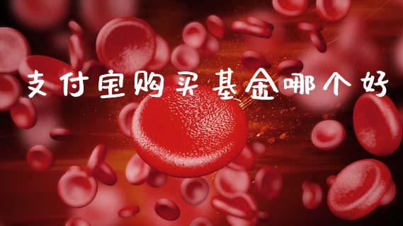 支付宝购买基金哪个好_https://wap.78312.cn_金融监管_第1张